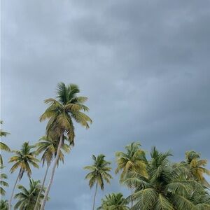 Meet your Posher, Deanna